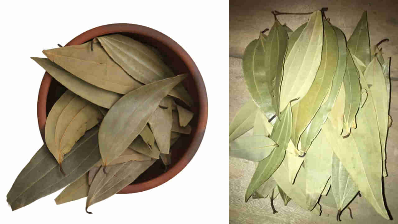 ఇవి బిర్యానీ ఆకులు కాదు.. మీ ప్రాణం తీసే విషపు ఆకులు! నిజం తెలిస్తే.. గుండె ఝల్లుమనాల్సిందే..