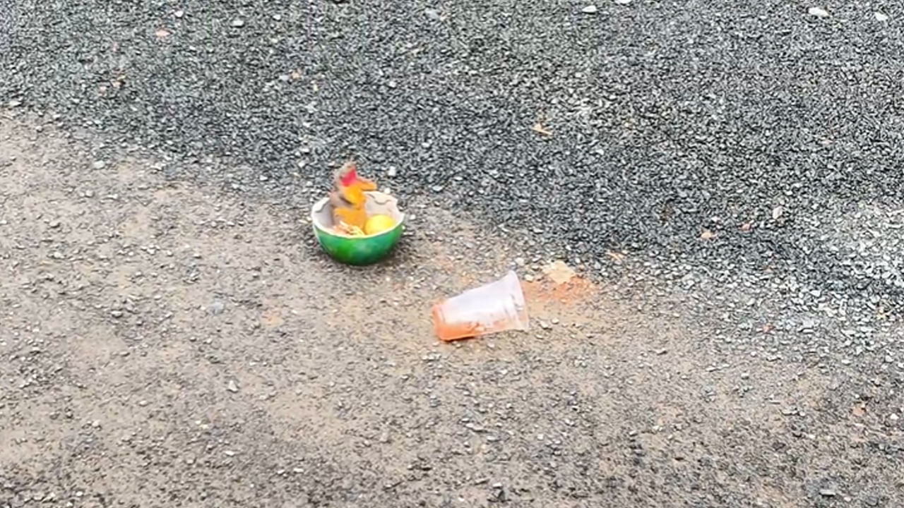 Andhra: పొద్దుపొద్దునే రోడ్డుపై ఏదో కనిపించింది.. దగ్గరకు వెళ్లి చూడగా Andhra: పొద్దుపొద్దునే రోడ్డుపై ఏదో కనిపించింది.. దగ్గరకు వెళ్లి చూడగా