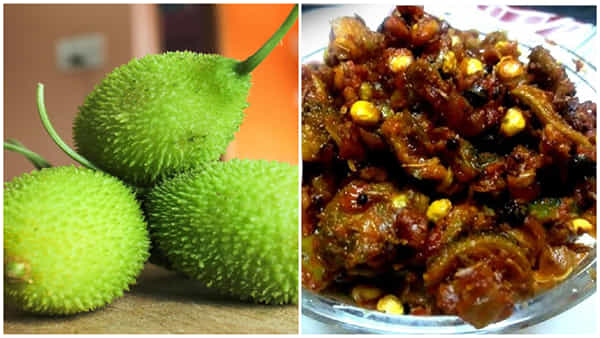 Bodakakara: వెజిటేరియన్ల పులస.. వర్షాకాలపు గోల్డెన్ వెజిటెబుల్.. ఇలా వండితే లొట్టలేయాల్సిందే..