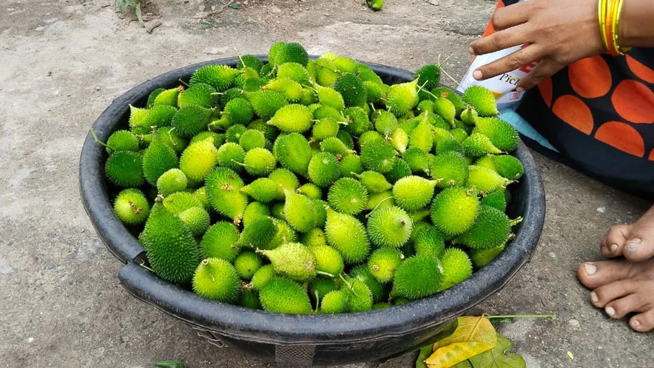 Boda Kakara3