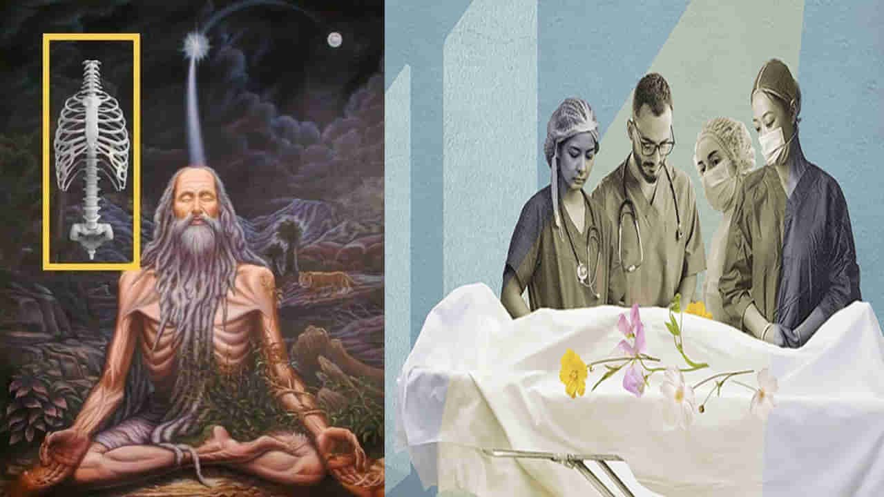 Body Donation: శరీర దానానికి దధీచి రుషి నేటి మానవులకు ఆదర్శం.. శరీర దానం ఎలా చేయాలి? ప్రక్రియ, ప్రాముఖ్యత పూర్తి వివరాలు