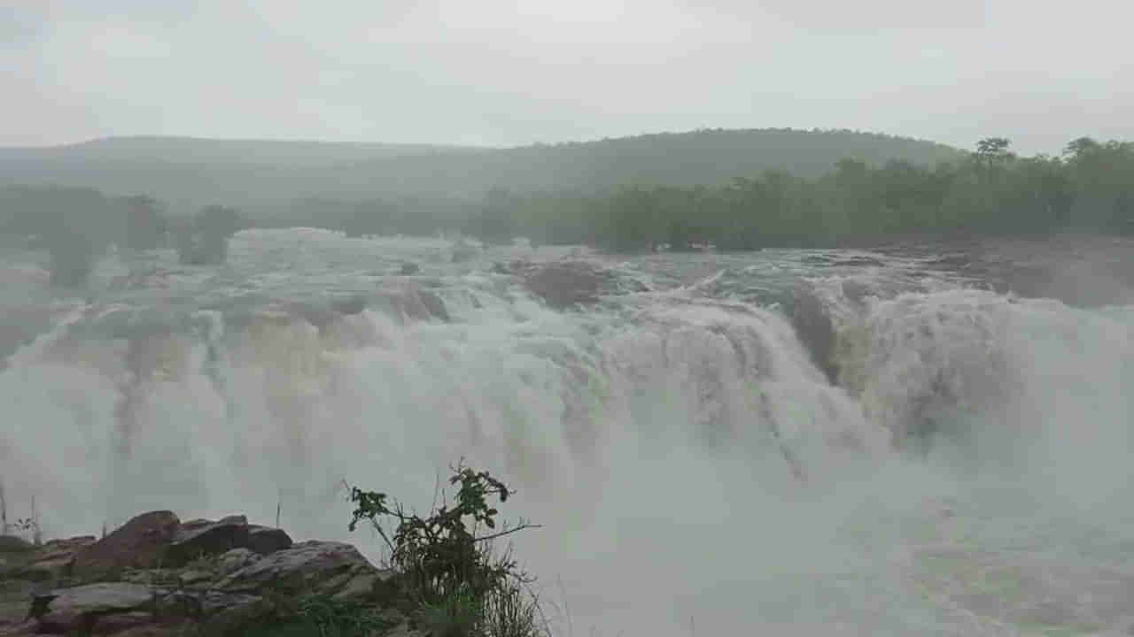 Telangana Video: బొగత జలపాతం ఉదృతరూపం... పర్యాటకుల సందర్శనకు అనుమతి నిరాకరణ