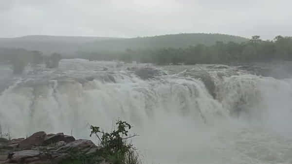 Telangana Video: బొగత జలపాతం ఉదృతరూపం... పర్యాటకుల సందర్శనకు అనుమతి నిరాకరణ