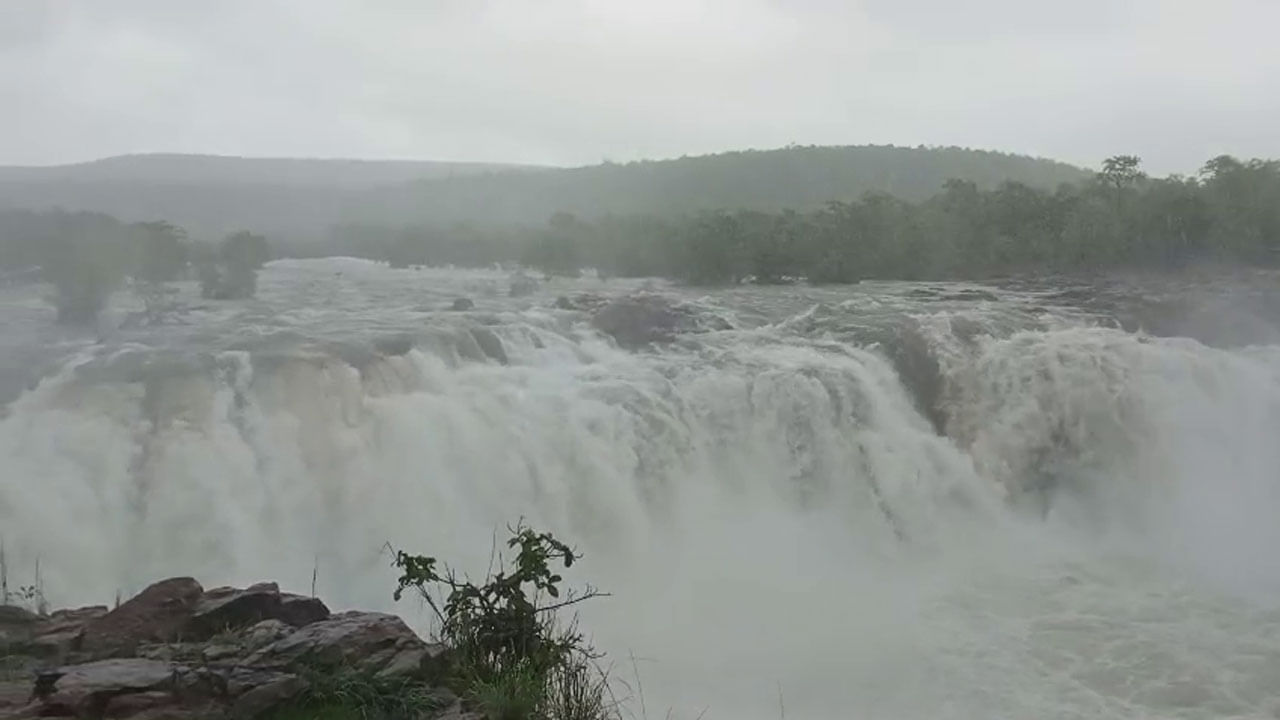 Telangana Video: బొగత జలపాతం ఉదృతరూపం... పర్యాటకుల సందర్శనకు అనుమతి నిరాకరణ