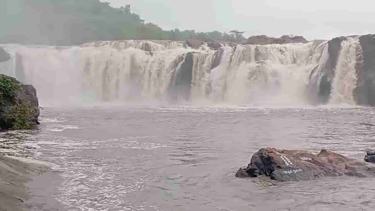 Watch Video: పరవళ్లు తొక్కుతున్న తెలంగాణ నయాగరా.. వీడియో చూస్తే మైమరిచిపోతారంతే..