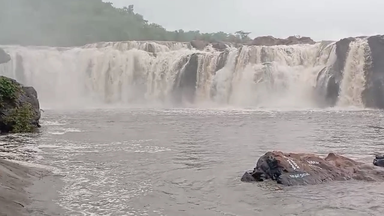 Watch Video: పరవళ్లు తొక్కుతున్న తెలంగాణ నయాగరా.. వీడియో చూస్తే మైమరిచిపోతారంతే..