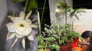 వర్షాకాలంలో డీహైడ్రేషన్‌తో తస్మాత్‌ జాగ్రత్త..! నిర్లక్ష్యం చేస్తే ప్రాణాలకే ముప్పు..అందుకే, ఈ టిప్స్ తప్పనిసరి..