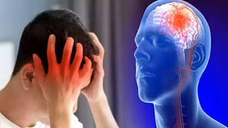 Health Tips: ఈ 6 పండ్లు కిడ్నీలకు జీవం పోస్తాయి.. కిడ్నీ సమస్యలు పరార్‌..!