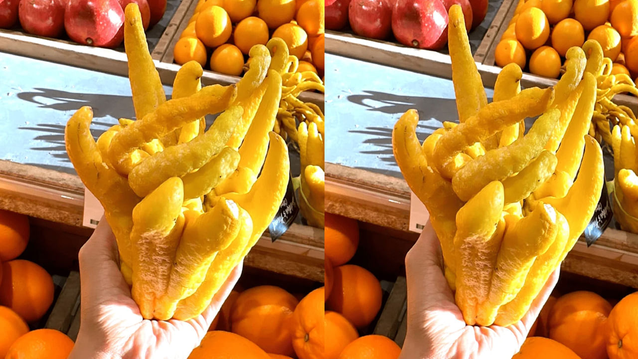 Budhas Hand