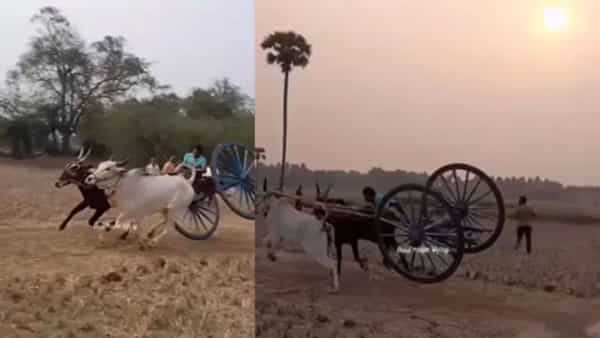 Viral Video: లైక్ల కోసం రిస్క్ చేస్తే లైఫే లేకుండా పోతది బ్రో... ఊపిరి బిగబట్టి చూసే స్టంట్ ఇది..