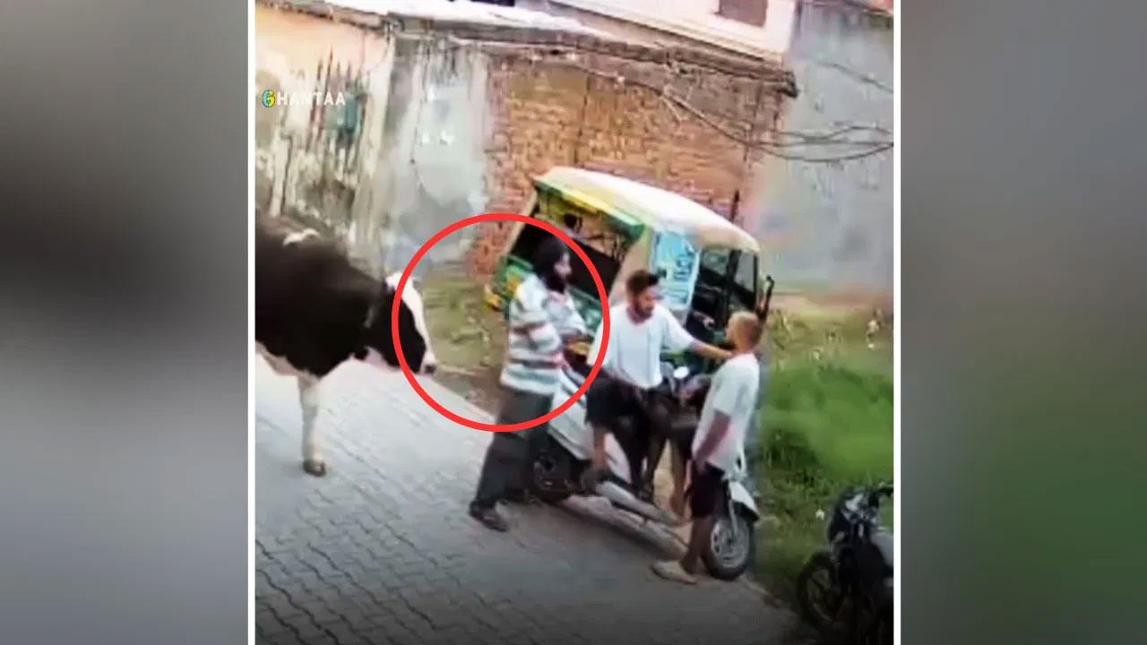 Viral Video: ఈ రోడ్డేమన్నా నీ బాబు వేశాడా.. పక్కకు జరుగు! ఎద్దు చేసిన పనికి నెటిజన్స్ నవ్వులే.. నవ్వులు