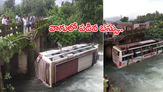 Viral Video: ఎత్తైన బ్రిడ్జిపై నుంచి వెళ్తున్న ట్రైన్‌.. ఒక్కసారిగా కూలిపోయిన బేస్‌ భాగం.. తర్వాత ఏం జరిగిందంటే?