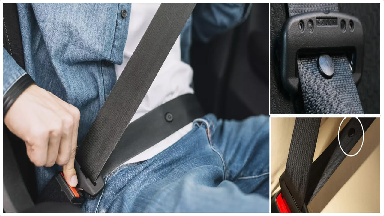 Car Seat Belt: కారు సీటు బెల్ట్పై ఈ బటన్ ఎందుకు ఉంటుందో తెలుసా? దీని ఉపయోగం ఎంతో..