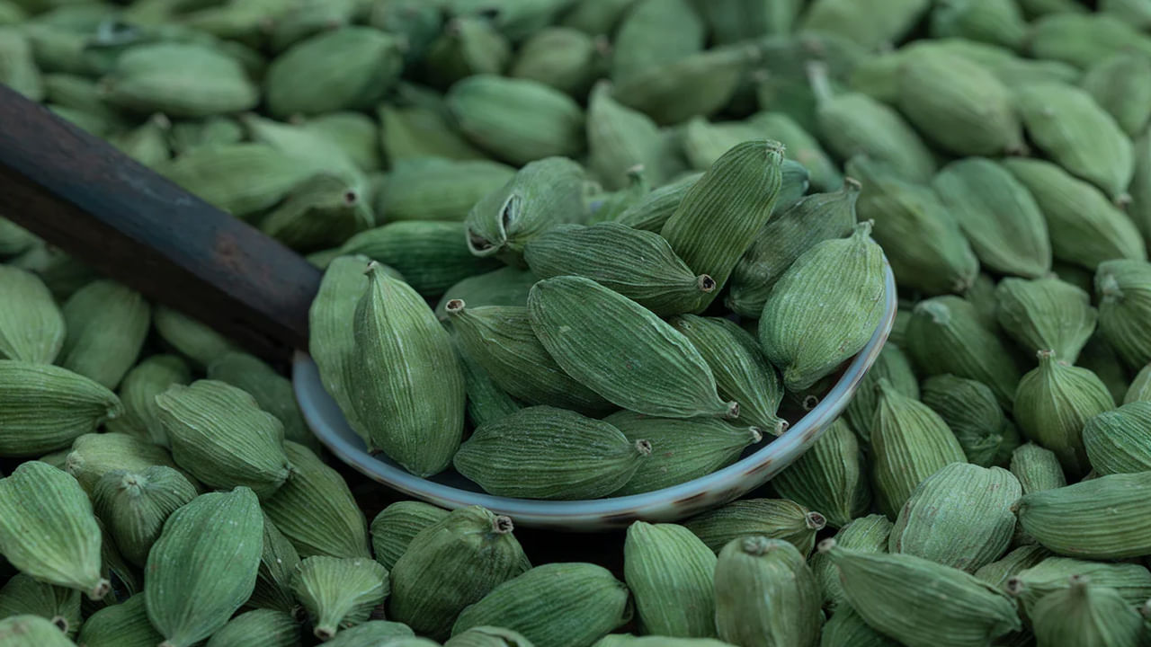 భోజనం తర్వాత యాలకులు తినటం వల్ల ఆరోగ్యానికి అనేక లాభాలు కలుగుతాయని పోషకాహార నిపుణులు తెలిపారు. యాలకులు తినటం వల్ల అజీర్తి, ఉబ్బరం, గ్యాస్ తగ్గుతాయి. యాలకులలో ఉండే ముఖ్యమైన నూనెలు అజీర్తి, కడుపు ఉబ్బరం, గ్యాస్ వంటి జీర్ణ సమస్యలను తగ్గించడంలో సహాయపడతాయి. 