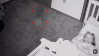 Viral Video: చిమ్మ చీకట్లో చెట్టు కొమ్మపై ఏదో అలికిడి.. అసలు సీన్ చూసి బెంబేలెత్తిన జనాలు..