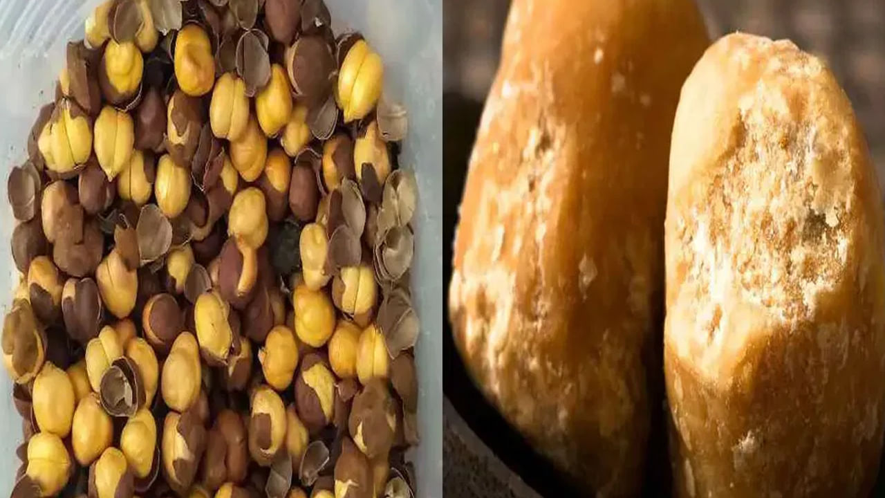 జ్ఞాపకశక్తి పెరుగుతుంది: వీటిని డైట్ లో చేర్చుకుంటే జ్ఞాపకశక్తికి పెరుగుతుంది. ఇది శరీరంలో సెరోటోనిన్ అనే హార్మోన్ ను మెరుగుపరుస్తుంది. దీంతో మీ మెదడు పనితీరు బాగా పెరుగుతుంది. అంతేకాదు ఒత్తిడి కూడా తగ్గుతుంది.