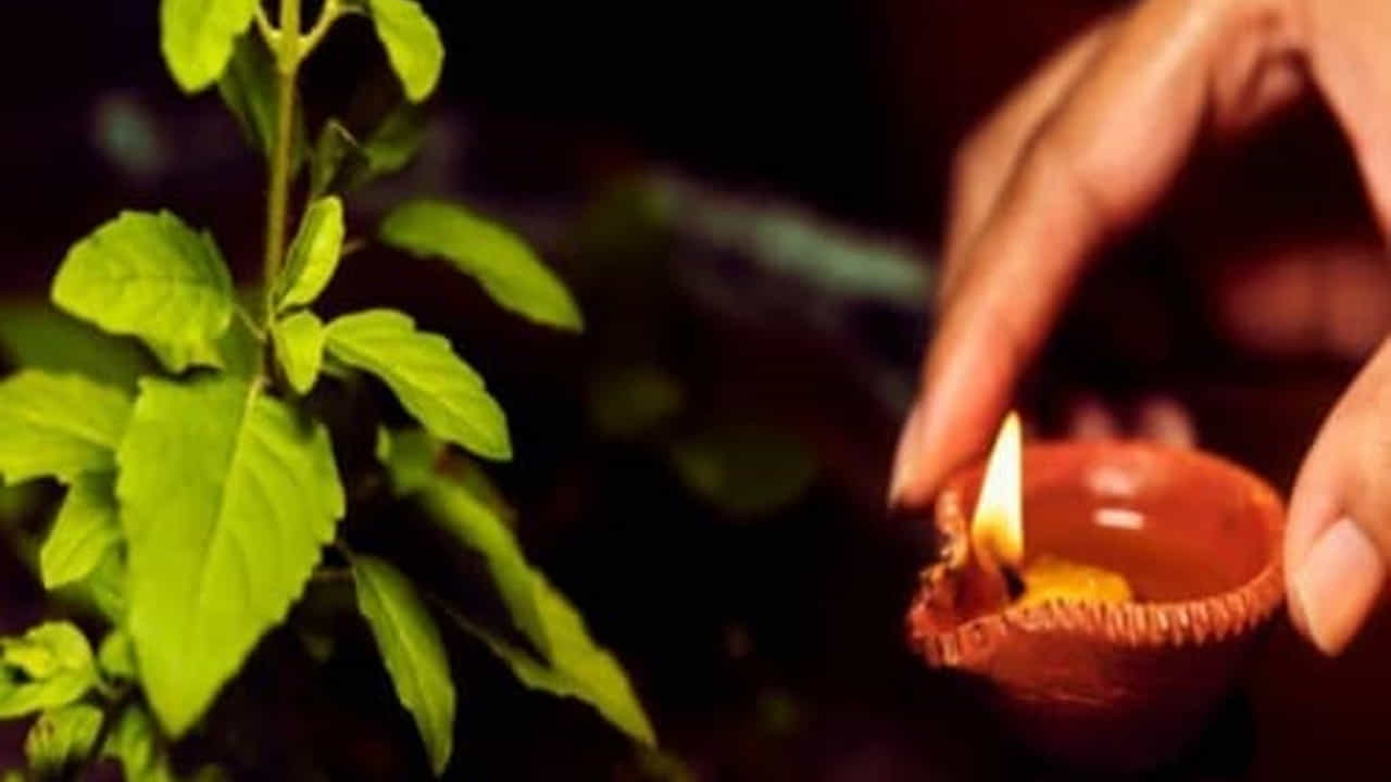 తులసి మొక్క దగ్గర: తులసి మొక్క విష్ణువుకు చాలా ప్రియమైనది. అటువంటి పరిస్థితిలో చాతుర్మాస సమయంలో ప్రతి రోజూ సాయంత్రం తులసి మొక్క దగ్గర దేశీ ఆవు నెయ్యి దీపంతో వెలిగించండి. ఇలా చేయడం ద్వారా విష్ణువు సంతోషిస్తాడని, ఇంట్లో ఆనందం, శ్రేయస్సు నెలకొంటుందని నమ్ముతారు.