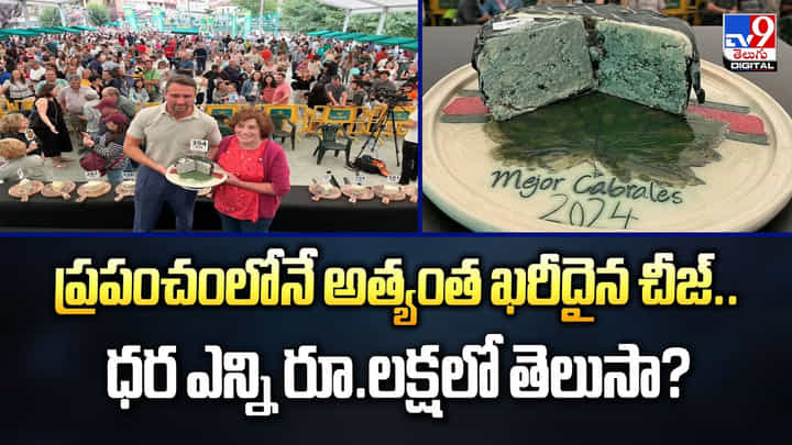 ప్రపంచంలోనే అత్యంత ఖరీదైన చీజ్.. ధర ఎన్ని రూ.లక్షలో తెలుసా? ప్రపంచంలోనే అత్యంత ఖరీదైన చీజ్.. ధర ఎన్ని రూ.లక్షలో తెలుసా?