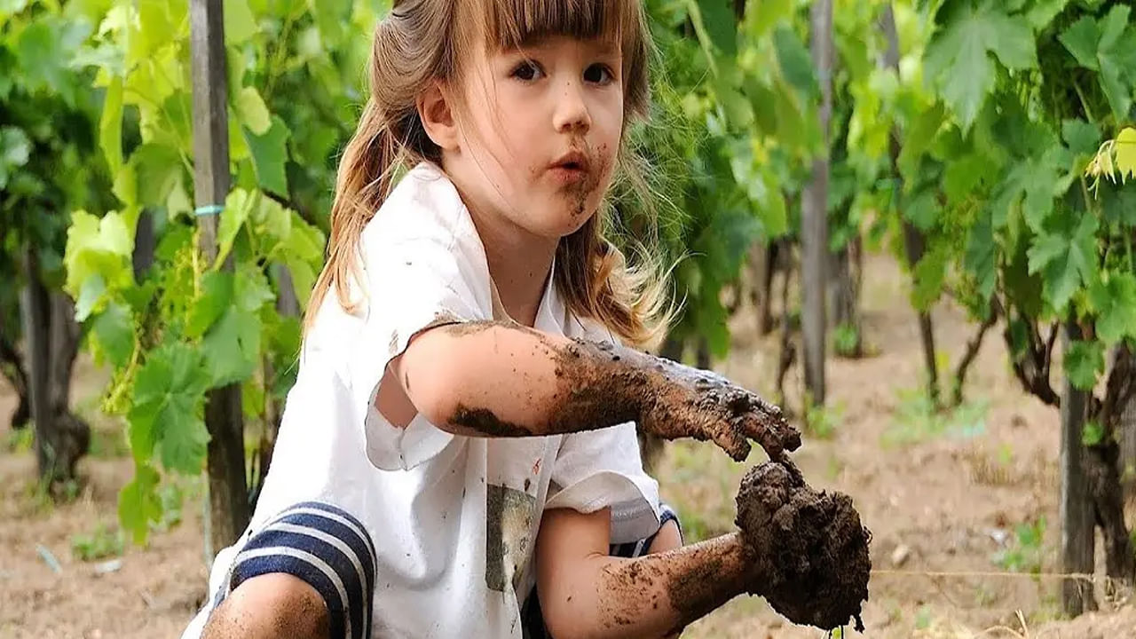 పిల్లలు మట్టి తినడం వల్ల తీవ్రమైన ఆరోగ్య ప్రభావాలను కలిగించే ప్రమాదాలలో ఒకటి. జీర్ణశయాంతర ఇన్ఫెక్షన్లకు కారణమయ్యే E. కోలి లేదా సాల్మొనెల్లా వంటి వ్యాధికారక సూక్ష్మజీవులను తీసుకోవడం. వివిధ బ్యాక్టీరియాలతో పాటు, బురదలో ఉండే గియార్డియా అనే పరాన్నజీవి కొన్ని జీర్ణ సమస్యలు, శరీరం నుండి నీటిని కోల్పోవడానికి దారితీస్తుంది. నేలలో పురుగుమందులు, భారీ లోహాలు వంటి రసాయనాలు అలాగే కర్మాగారాల నుండి వచ్చే హానికరమైన పదార్థాలు కూడా ఉండవచ్చు. ఇది దీర్ఘకాలిక ఆరోగ్య ప్రమాదాలకు దారితీస్తుంది.