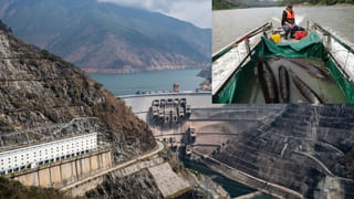 New World Screwworm: వామ్మో ఈగ… అమెరికా ఎందుకు వణికిపోతుంది… వేటాడేందుకు రంగంలోకి హెలికాప్టర్లు