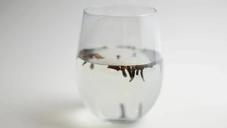 పిల్లల ముందు గొడవపడే పేరెంట్స్‌కి హెచ్చరిక..! క్రిమినల్స్‌ మీ ఇంట్లోనే తయారవుతారు..