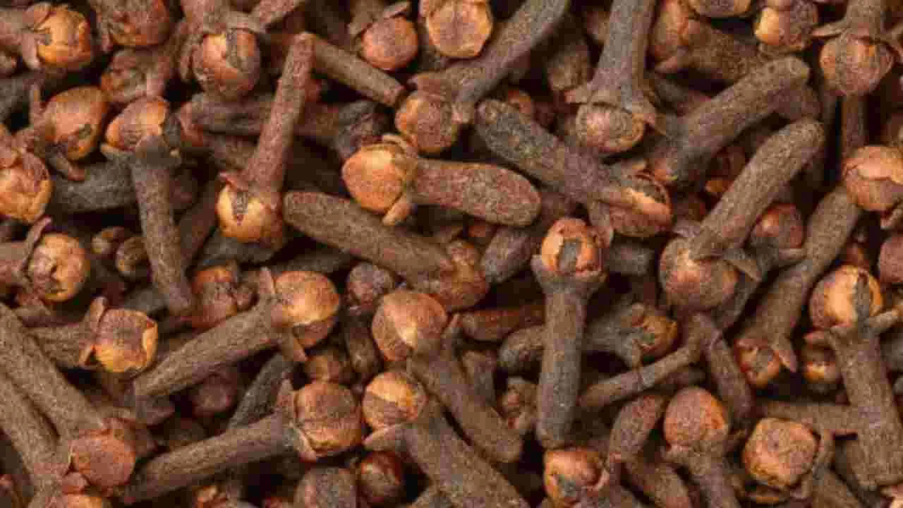 రోజూ ఉదయం ఒక లవంగాన్ని  నమలడం వలన ఇది నోటిలో, పేగులలోని జీర్ణ ఎంజైమ్‌ల ఉత్పత్తిని మెరుగు పరిచి, జీర్ణక్రియ సాఫీగా సాగేలా చేస్తుందంట. అలాగే దీనిని మీరు ఆహారంలో చేర్చుకోవడం వలన కూడా కడుపు సంబంధ సమస్యల నుంచి ఉపశమనం కలిగించి, అజీర్ణం, గ్యాస్, కడుపు ఉబ్బరం, గ్యాస్ వంటి సమస్యల నుంచి బయటపడేలా చేస్తుందంట.