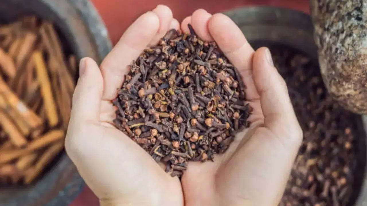 ఎముకల ఆరోగ్యానికి లవంగం చాలా మంచిదంట. అందువలన ప్రతి రోజూ ఉదయం ఒక లవంగం తీసుకోవడం వలన ఇది ఎముకలను బలంగా తయారు చేస్తుందంట. అంతే కాకుండ దంత ఆరోగ్యానికి కూడా ఇది చాలా మంచిదంట. లవంగం నమలడం వలన ఇది చిగుళ్ల సమస్యల నుంచి ఉపశమనం కలిగేలా చేస్తుందంట.