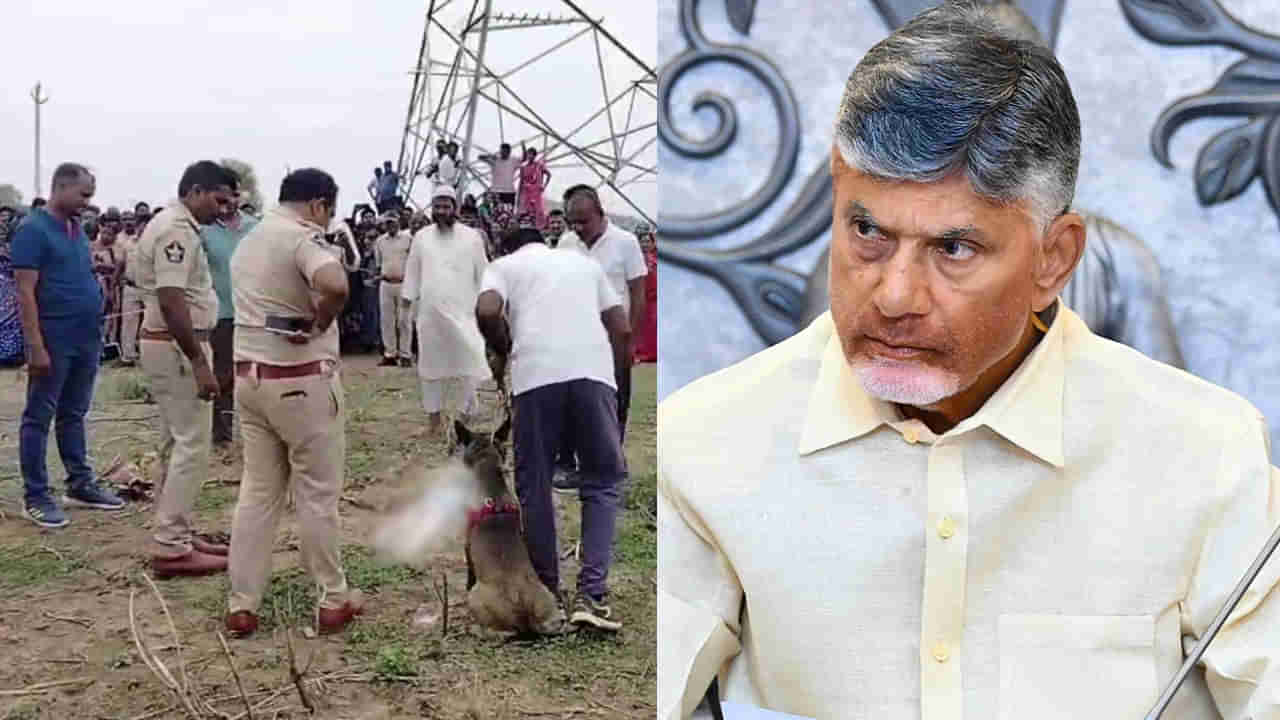 AP: రెండు రోజులుగా ఆకలితో అలమటించి చిన్నారి మృతి? సీఎం చంద్రబాబు ఆరా..
