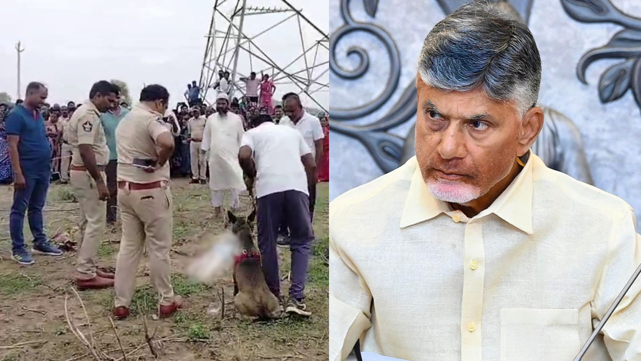 AP: రెండు రోజులుగా ఆకలితో అలమటించి చిన్నారి మృతి? సీఎం చంద్రబాబు ఆరా..
