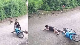 Viral Video: కోడితో పెట్టుకుంటే ఇట్లనే ఉంటది మరి... Viral Video: కోడితో పెట్టుకుంటే ఇట్లనే ఉంటది మరి...