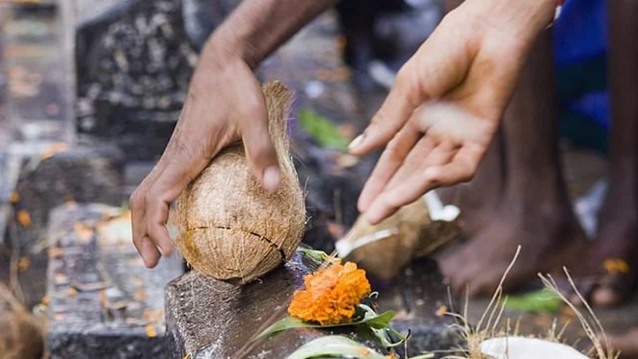 కొబ్బరికాయ కొట్టడం కోరికలు నెరవేరడం పైనే ఆధారపడి ఉండదు. ఇది భగవంతుని పట్ల నమ్మకం, కృతజ్ఞతను ప్రదర్శించే విధానం. కోరిక నెరవేరాలని మొక్కుకున్న వారు, ముందుగానే కొబ్బరికాయ కొట్టాలి.