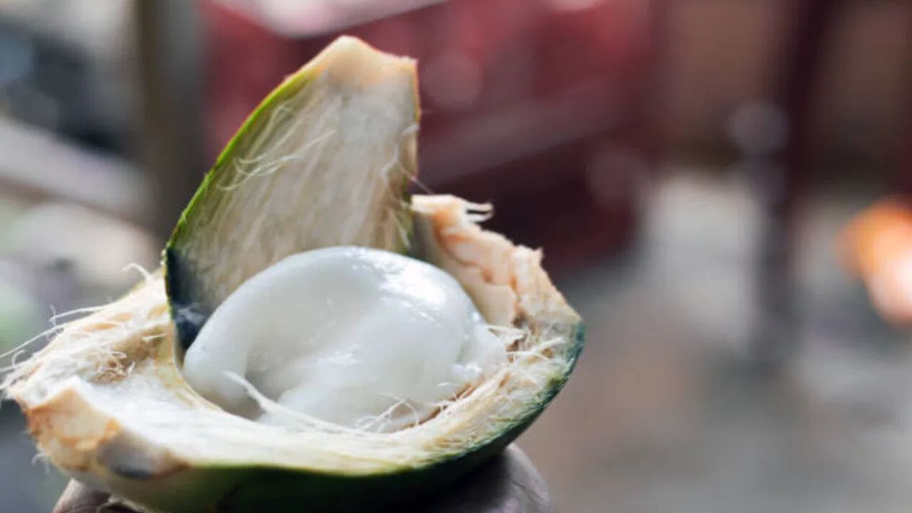 లేత కొబ్బరి ముక్కలు.. కొబ్బరి నీళ్లతో పాటు దొరికే కొబ్బరి ముక్కలు శరీరానికి వెంటనే ఎనర్జీని ఇస్తాయి. ఇందులో ఫైబర్ ఎక్కువగా ఉండటం వల్ల జీర్ణక్రియకు సహాయపడతాయి. ముఖ్యంగా వేసవిలో అలసటను తగ్గించి శరీరాన్ని చల్లబరుస్తాయి.