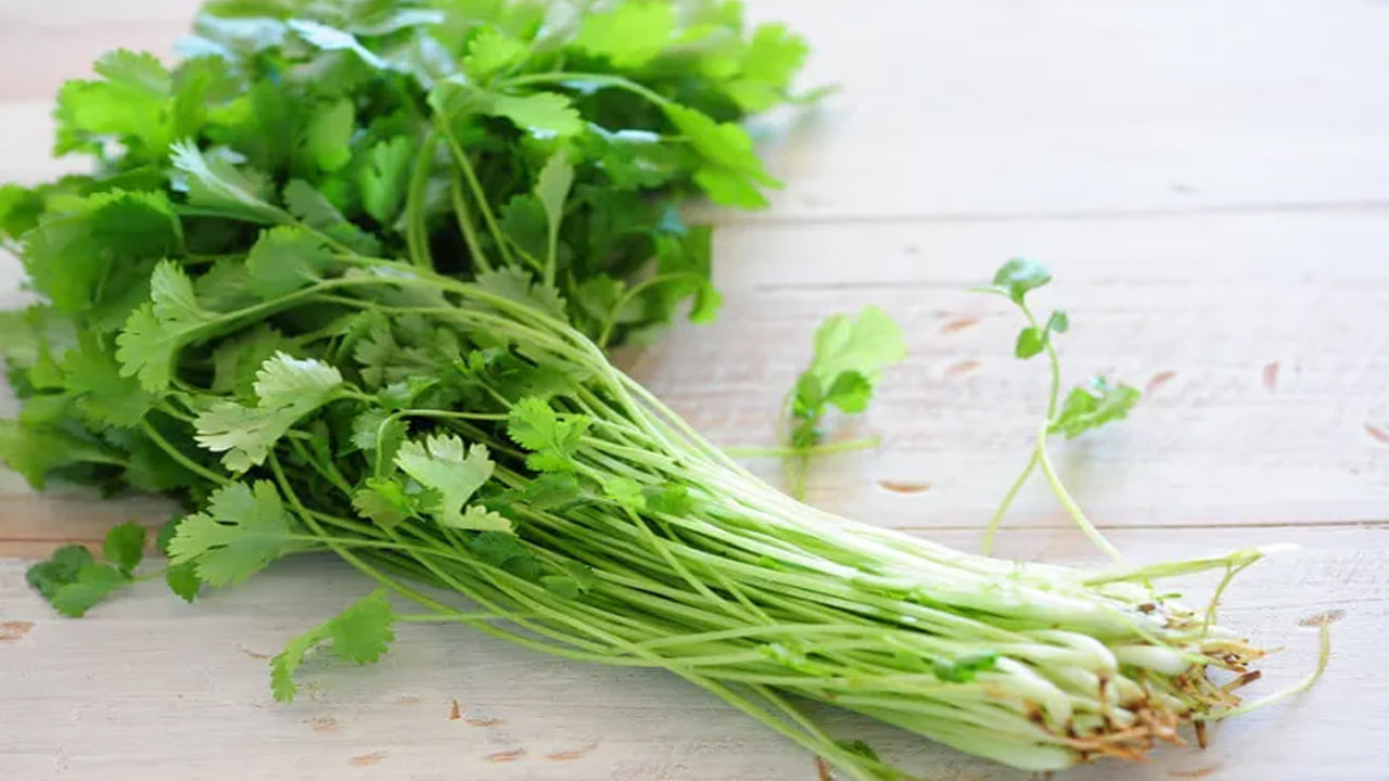 కొత్తిమీర రోగనిరోధక శక్తిని పెంచుతుంది. ఇందులో విటమిన్ సి ఉంటుంది. ఇందులో ఉండే విటమిన్ ఎ కంటి ఆరోగ్యాన్ని మెరుగుపరుస్తుంది. కొత్తిమీరలోని పోషకాలు హార్మోన్ సమతుల్యత కోసం, శరీరంలోని అవయవాలకు బలాని అందిస్తాయి. కొత్తిమీరను ప్రతి రోజు ఆహారంలో చేర్చుకోవడం వల్ల శరీరం ఆరోగ్యంగా ఉంటుంది. సమయానికి పీరియడ్స్ రాని వారు కొత్తిమీర నీళ్లలో కొంచెం పంచదార కలిపి తాగడం వల్ల ఎంతో ప్రయోజనం ఉంటుంది.