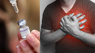 రేయ్‌ అదేమైన తాడు అనుకున్నారా.. అలా మోసుకెళ్తున్నారు.. గుండెల్లో వణుకుపుట్టిస్తున్న షాకింగ్‌ వీడియో!