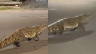 Viral Video: ఏం తెలివిరా నాయనా..! ఇలాంటి దొంగతనం మీరు ఎప్పుడు చూసి ఉండరు.. వీడియో వైరల్‌