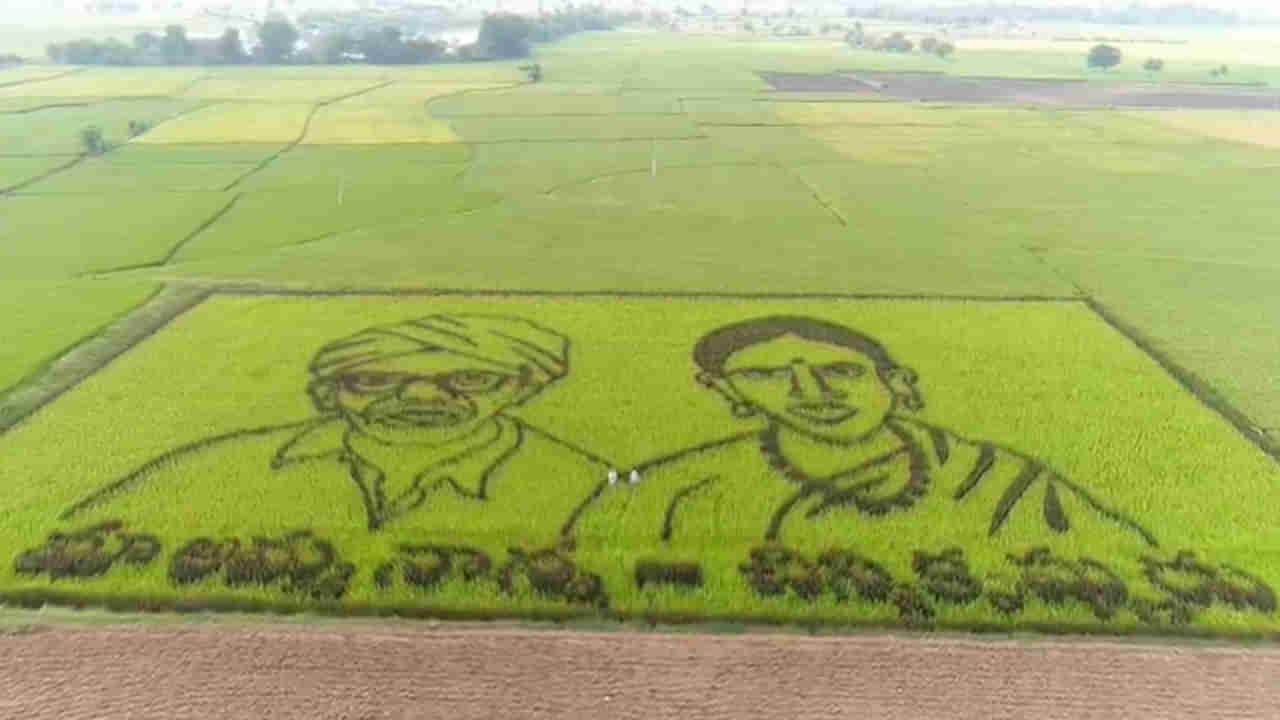 ఆదర్శ రైతు చిన్ని కృష్ణుడు.. ఎలాంటి డిగ్రీలు లేని శాస్త్రవేత్త.. 150 వెరైటీల వరి పండించిన అగ్రికల్చర్‌ డాక్టర్‌!