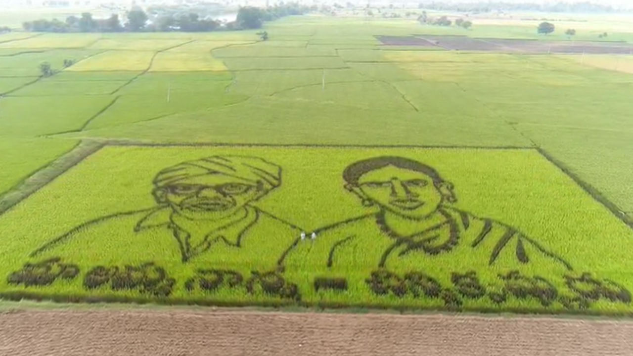 ఆదర్శ రైతు చిన్ని కృష్ణుడు.. ఎలాంటి డిగ్రీలు లేని శాస్త్రవేత్త.. 150 వెరైటీల వరి పండించిన అగ్రికల్చర్ డాక్టర్!