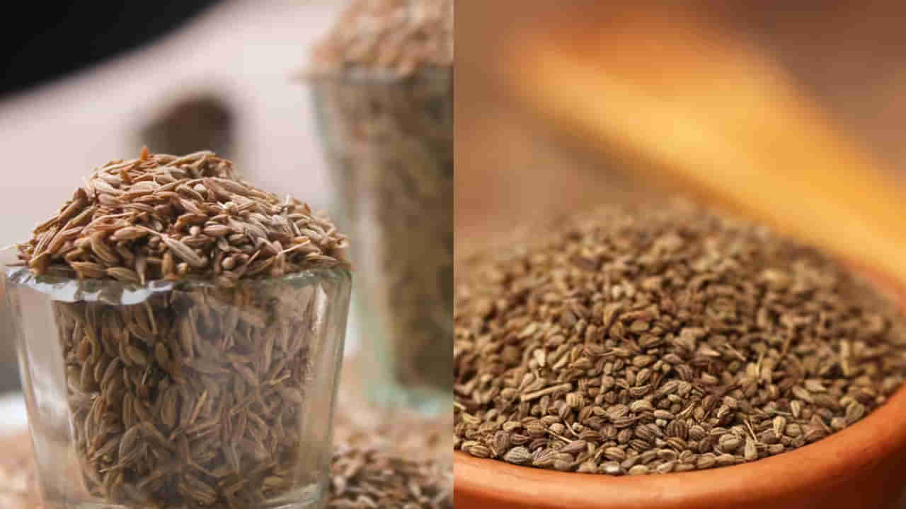 Health Tips: జీలకర్ర Vs వాము.. ఆరోగ్యానికి ఏది మంచిది..? పోషకాలు ఎలా ఉంటాయి..?