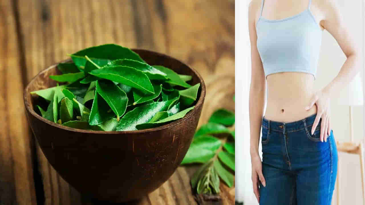 Weight Loss: ఖాళీ కడుపుతో ఈ ఆకులు రోజూ 2 తిన్నారంటే.. నెల రోజుల్లోనే సన్నజాజి తీగలా మెరిసిపోతారు!