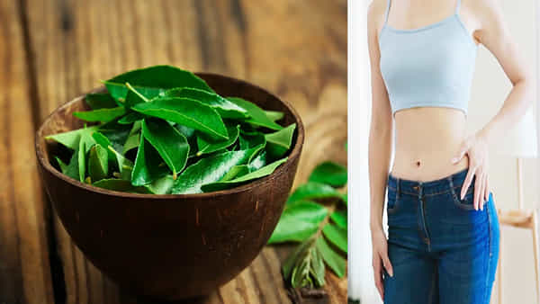 Weight Loss: ఖాళీ కడుపుతో ఈ ఆకులు రోజూ 2 తిన్నారంటే.. నెల రోజుల్లోనే సన్నజాజి తీగలా మెరిసిపోతారు!