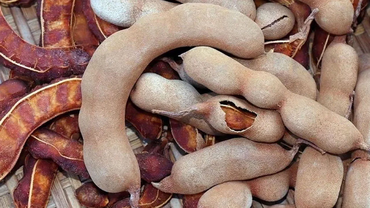 అబ్బ.. చింతపండు అనగానే నోరూరుతుంది.. ఇది చాలా పుల్లగా రుచికరంగా ఉంటుంది.. అయితే.. చింతపండును.. మనం తినే కూరలను విడదీసి చూడలేం.. ఎందుకంటే.. మన వంటలో భాగం.. మనం తినే అనేక రకాల కూరల్లో, చారులో, రసంలో, చట్నీలలో ఇలా అనేక కూరల్లో చింతపండును ఉపయోగిస్తారు. దీంతో పులిహార కూడా చేసుకుని తింటారు.. అందుకే.. చాలా ఆహారాలు చింతపండు లేకుండా అసంపూర్ణంగా కనిపిస్తాయి. చింతపండులో విటమిన్ సి, ఎ ఇతర విటమిన్‌లు పుష్కలంగా ఉంటాయి.. చింతపండులో అనేక ఆరోగ్య ప్రయోజనాలు కలిగి ఉన్నప్పటికీ.. దీని అధిక వినియోగం ఆరోగ్యానికి హాని కూడా కలిగిస్తుందని ఆరోగ్య నిపుణులు హెచ్చరిస్తున్నారు.