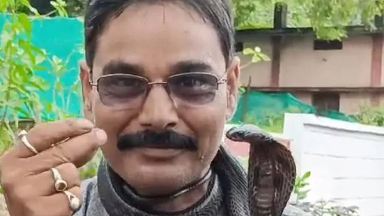 దురదృష్టకరం అంటే ఇదే మరీ.. వేలాది పాములను రక్షించిన వ్యక్తి.. పాము కాటుకే బలి