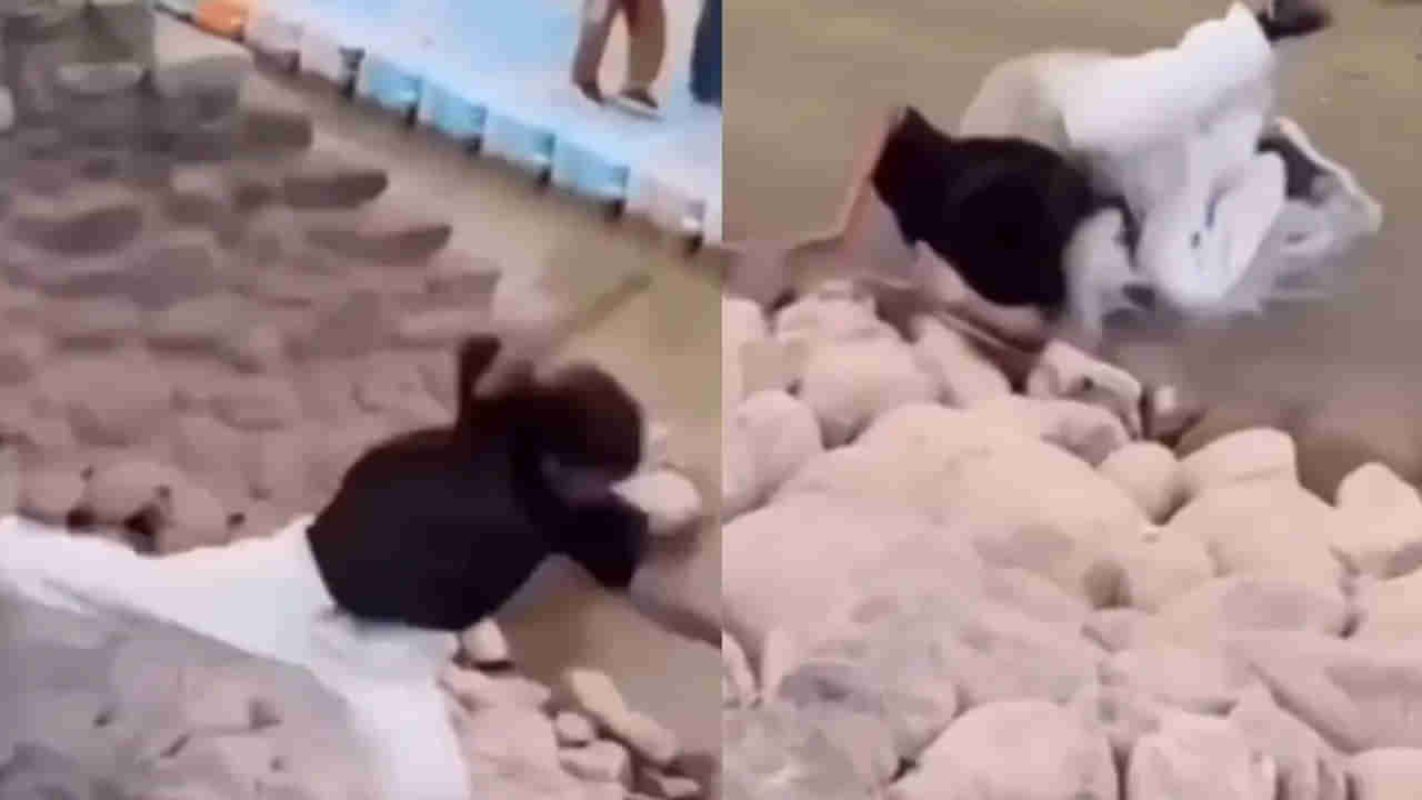 Viral Video: రీల్ కోసం రిస్క్ చేసి బోర్లబొక్కల పడే... అవసరమా బ్రో... 20 అడుగుల ఎత్తు నుంచి పడిపోయిన యువకుడు