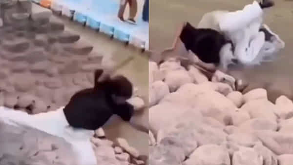 Viral Video: రీల్ కోసం రిస్క్ చేసి బోర్లబొక్కల పడే... అవసరమా బ్రో... 20 అడుగుల ఎత్తు నుంచి పడిపోయిన యువకుడు