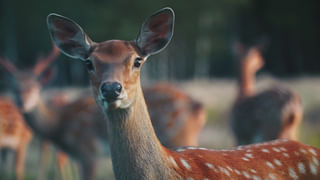 Heavy Rains: ఉత్తరాదిని ముంచెత్తుతున్న భారీ వర్షాలు.. పొంగిపొర్లుతున్న నదులు.. రెడ్‌ అలర్ట్‌!