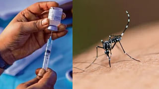 Viral: ఇంకా కొనసాగుతున్న అమానవీయ ఘటనలు.. ప్రేమ జంటను కాడెద్దులుగా మార్చి..