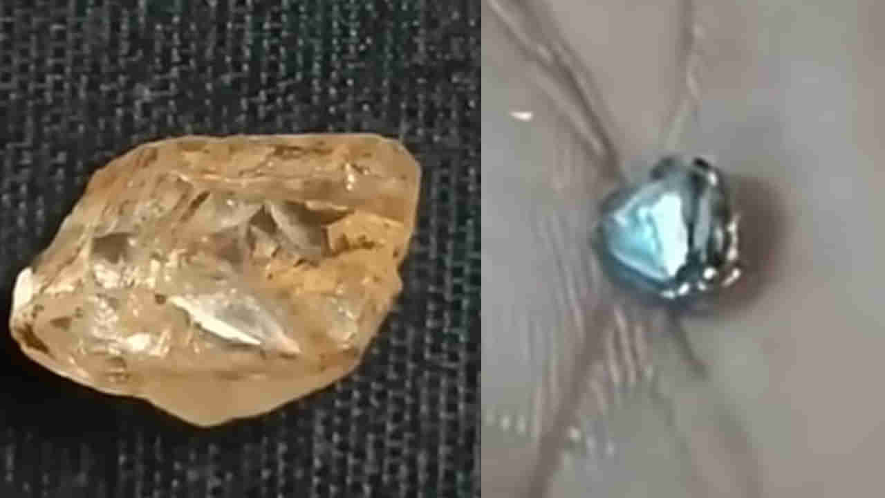 Andhra: పొలం పనులు చేస్తుంటే అదృష్టం చేతికి తగిలింది - కాసుల పంట పండింది