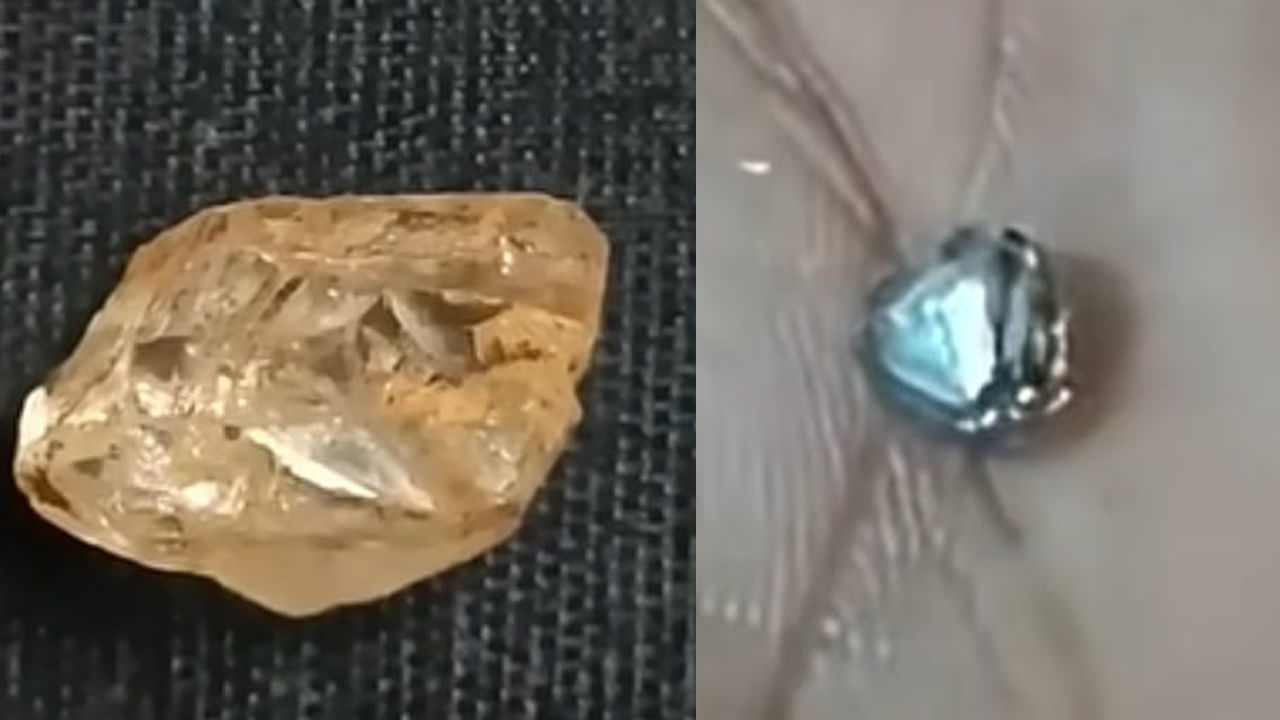 Andhra: పొలం పనులు చేస్తుంటే అదృష్టం చేతికి తగిలింది - కాసుల పంట పండింది