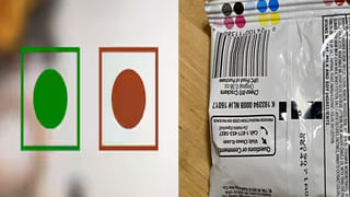 Cockroaches: ఇంట్లో బొద్దింకలను ఆకర్షించేవి ఈ వస్తువులే.. వీటిని తొలగిస్తే శాశ్వతంగా రిలీఫ్..