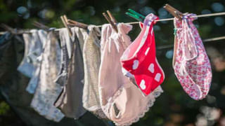 Success Story: దక్షిణాది దోసను నమ్ముకున్న ముంబై దంపతులు.. నేడు నెలకు కోటి రూపాయల సంపాదన..